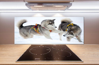 Panel dekor szkło Husky zimą