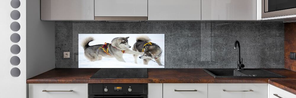 Panel dekor szkło Husky zimą