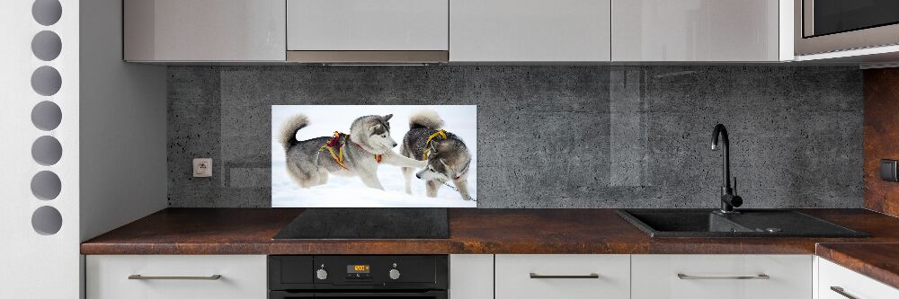 Panel dekor szkło Husky zimą