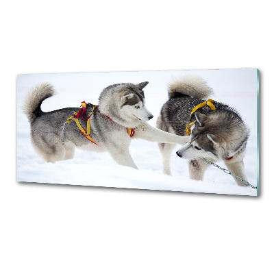 Panel dekor szkło Husky zimą
