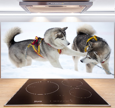 Panel dekor szkło Husky zimą