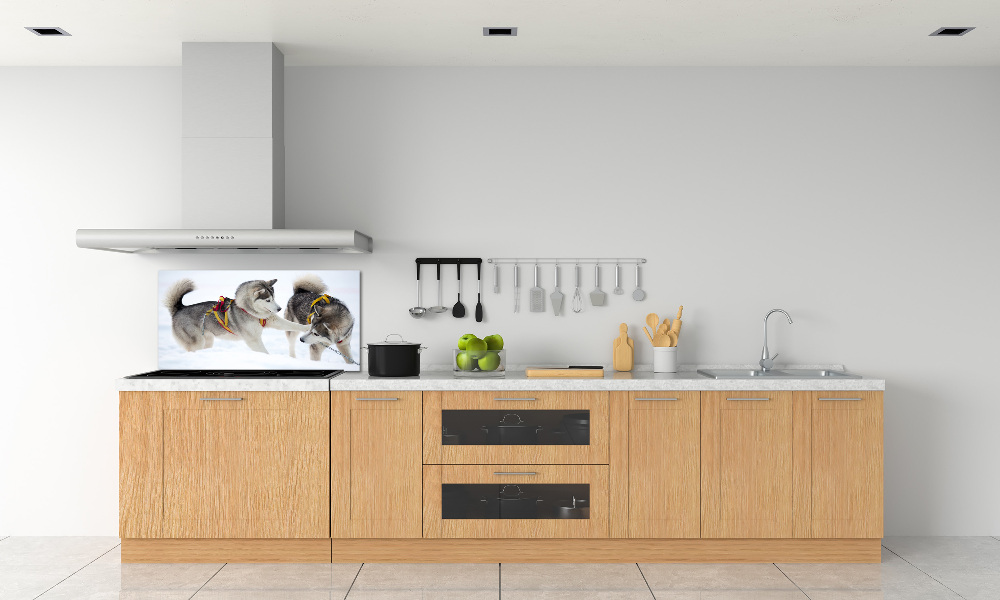 Panel dekor szkło Husky zimą