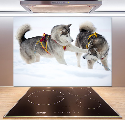 Panel dekor szkło Husky zimą
