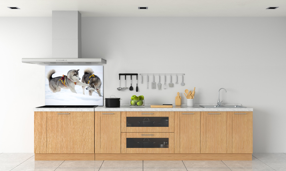 Panel dekor szkło Husky zimą