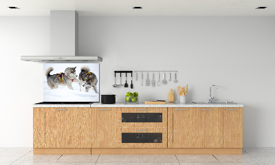 Panel dekor szkło Husky zimą