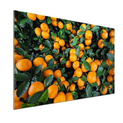 Panel dekor szkło Mandarynki