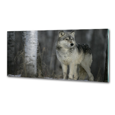 Panel dekor szkło Szary wilk