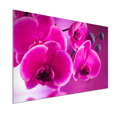 Panel między meble w kuchni Orchidea