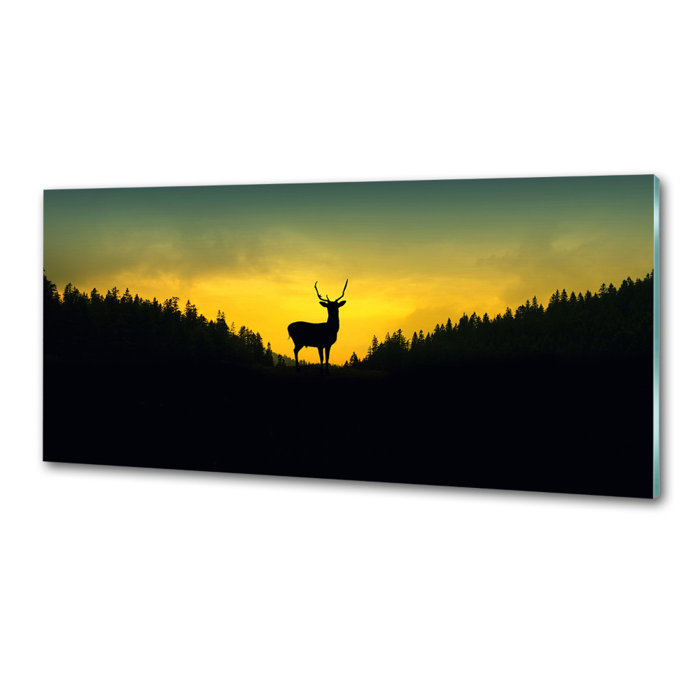 Panel szklany do kuchni Jeleń