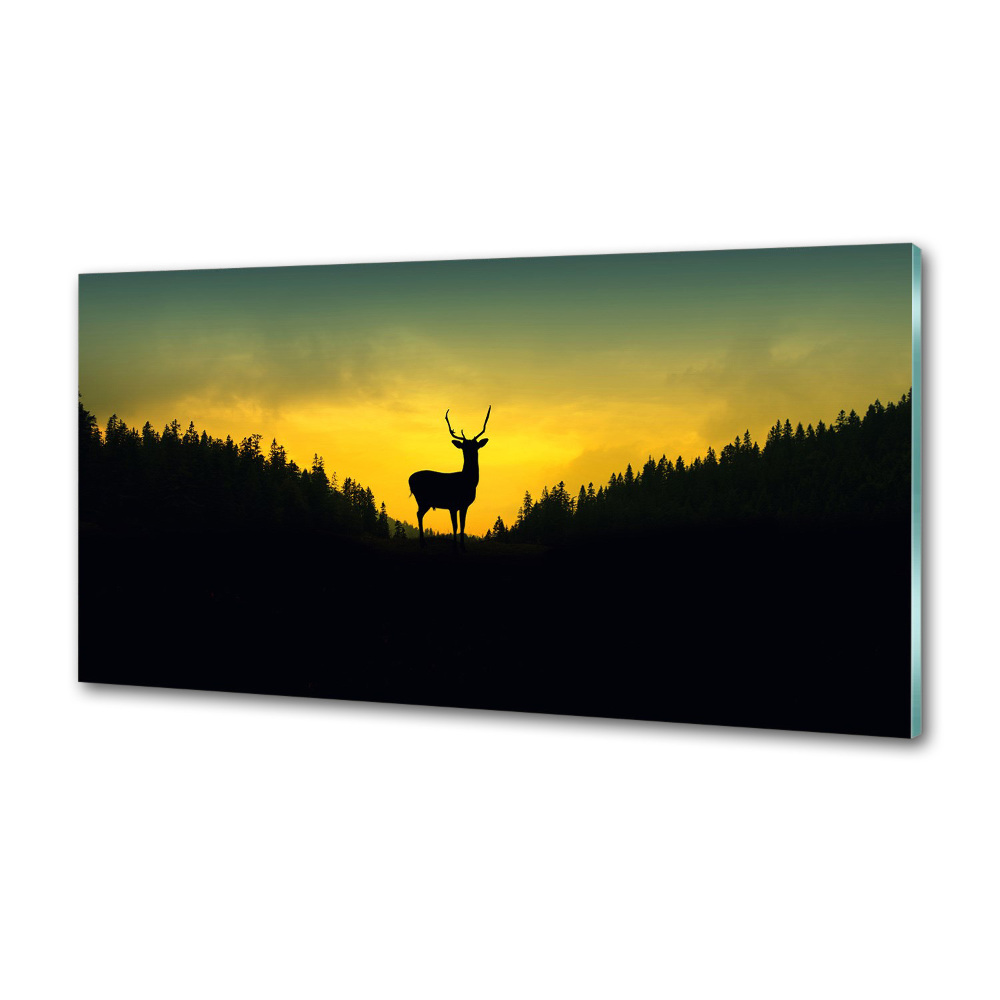 Panel szklany do kuchni Jeleń