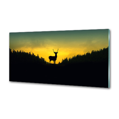Panel szklany do kuchni Jeleń