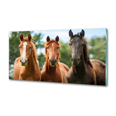 Panel dekor szkło Trzy konie