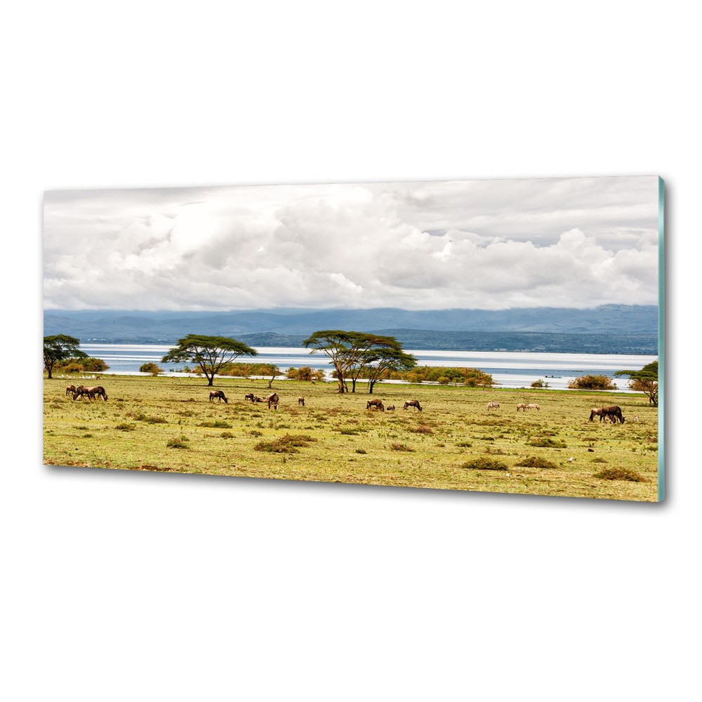 Panel do kuchni Jezioro Naivasha