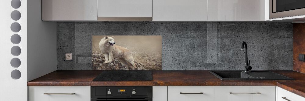 Panel lacobel Biały wilk na skale