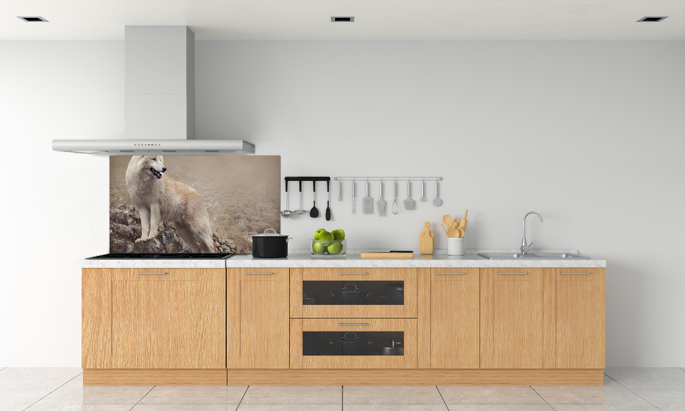 Panel lacobel Biały wilk na skale