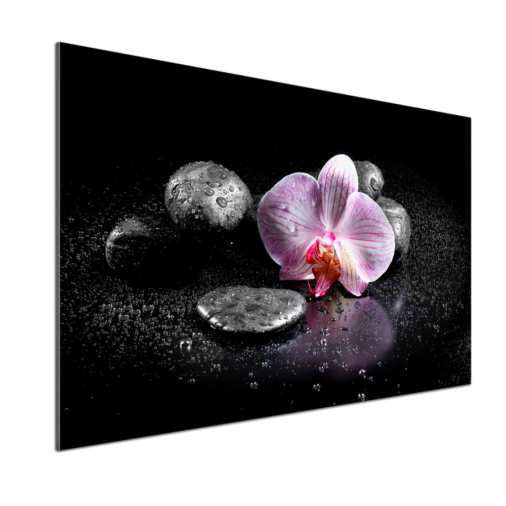 Panel między meble w kuchni Orchidea