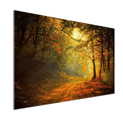 Panel dekor szkło Las jesienią