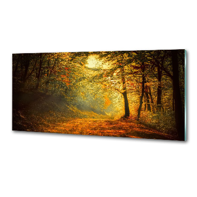 Panel dekor szkło Las jesienią