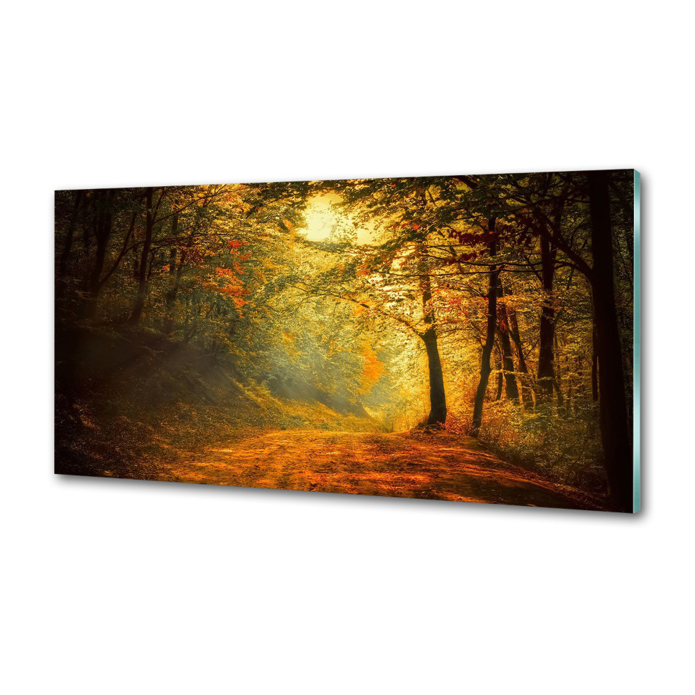 Panel dekor szkło Las jesienią
