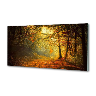 Panel dekor szkło Las jesienią