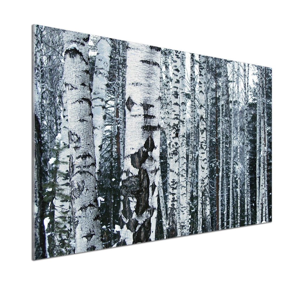 Panel do kuchni Drzewa brzozy