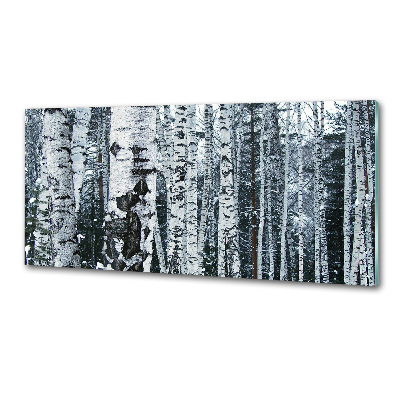 Panel do kuchni Drzewa brzozy
