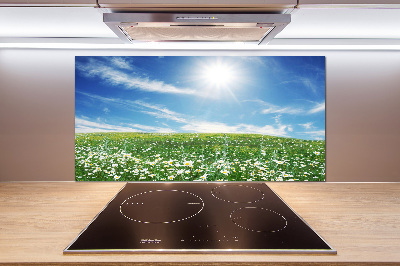 Panel szklany do kuchni Łąka