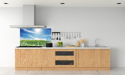 Panel szklany do kuchni Łąka