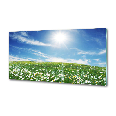 Panel szklany do kuchni Łąka
