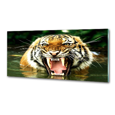 Panel do kuchni Ryczący tygrys