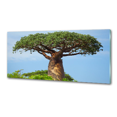 Panel szklany do kuchni Baobab
