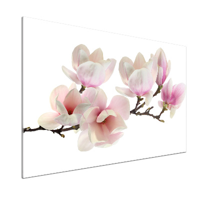 Panel między meble w kuchni Magnolia