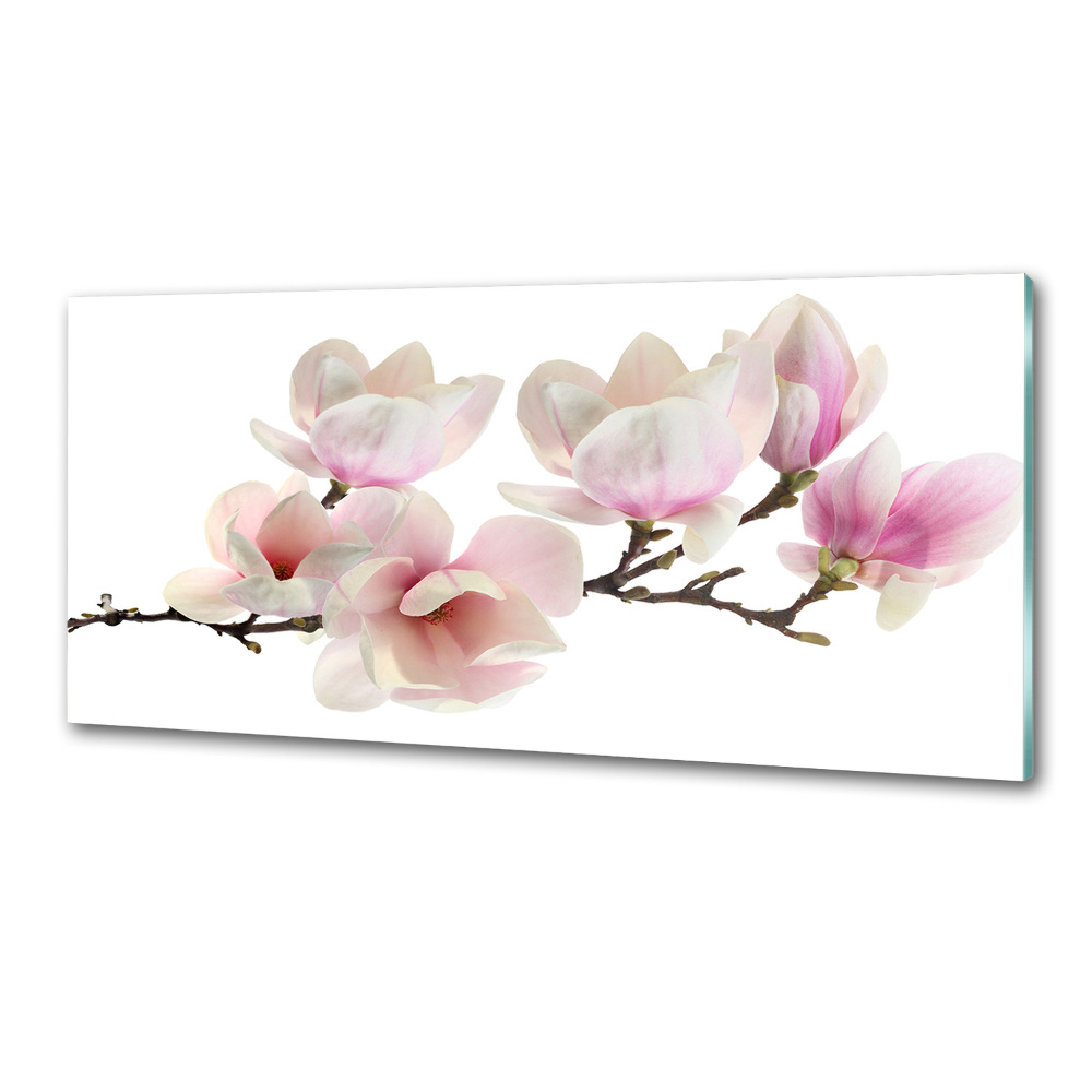 Panel między meble w kuchni Magnolia