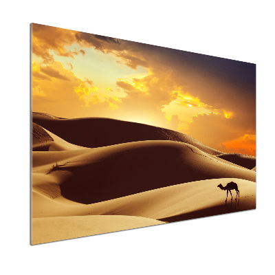 Panel do kuchni Wielbłąd Sahara