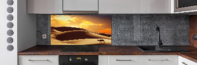 Panel do kuchni Wielbłąd Sahara