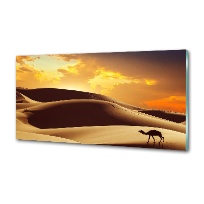 Panel do kuchni Wielbłąd Sahara