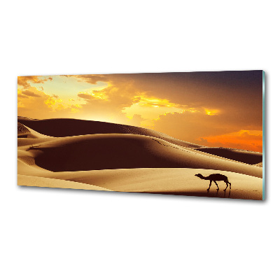 Panel do kuchni Wielbłąd Sahara
