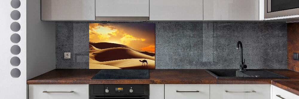 Panel do kuchni Wielbłąd Sahara