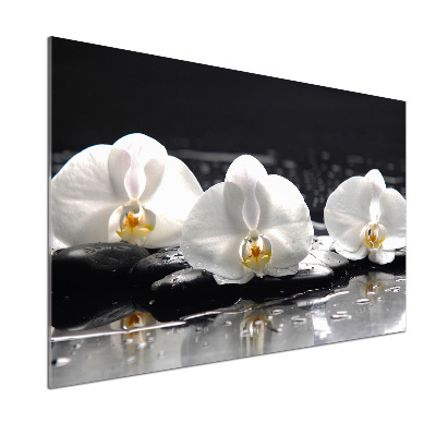 Panel między meble w kuchni Orchidea