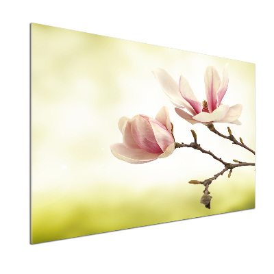 Panel między meble w kuchni Magnolia