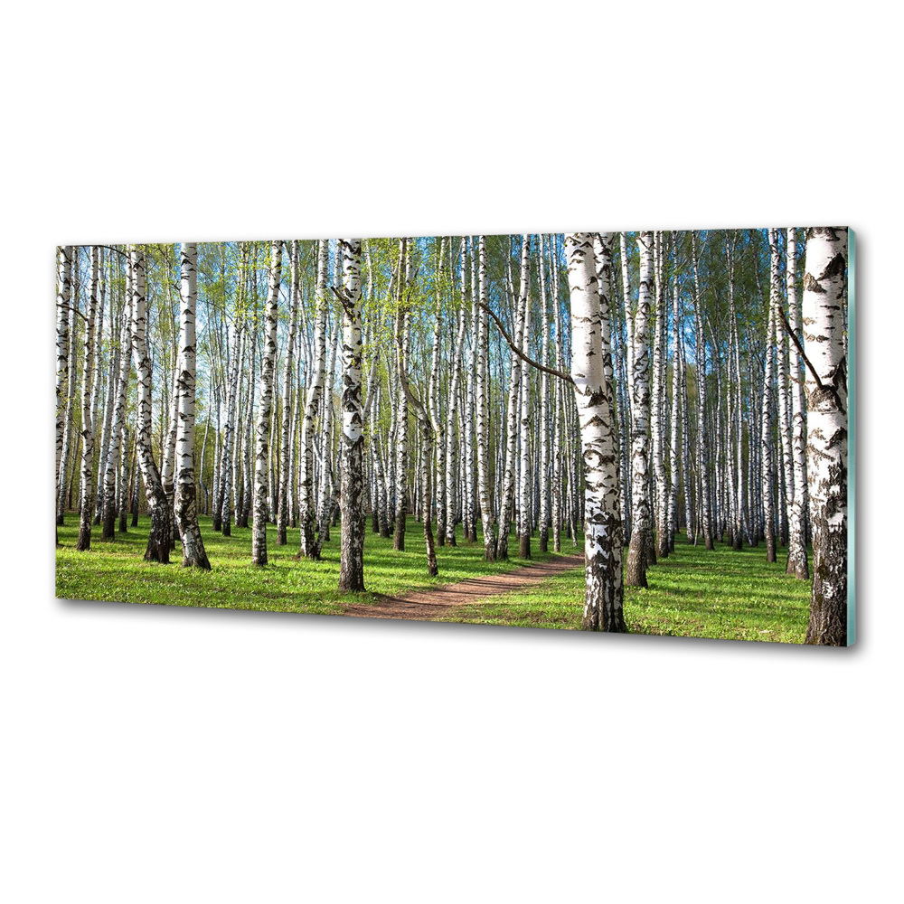 Panel dekor szkło Brzozowy las
