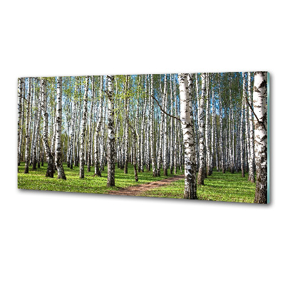 Panel dekor szkło Brzozowy las