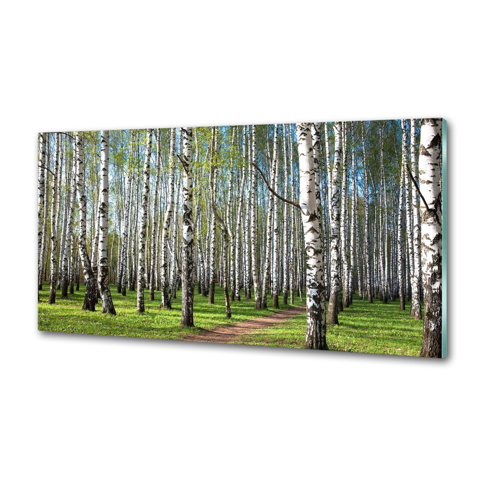 Panel dekor szkło Brzozowy las