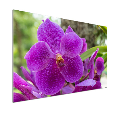 Panel między meble w kuchni Orchidea