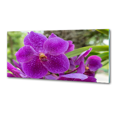 Panel między meble w kuchni Orchidea