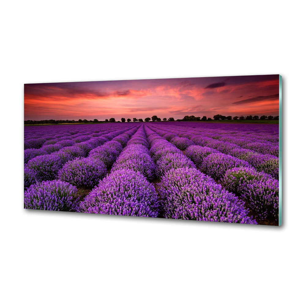 Panel dekor szkło Pole lawendy