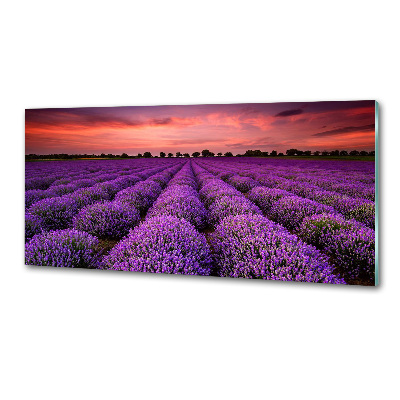 Panel dekor szkło Pole lawendy