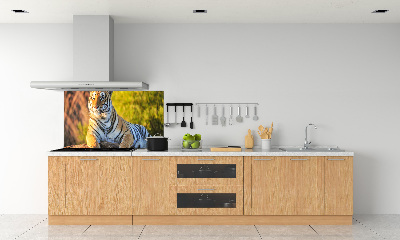 Panel do kuchni Portret tygrysa