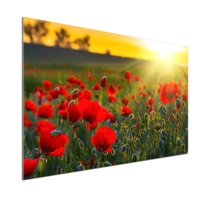 Panel dekor szkło Pole maków