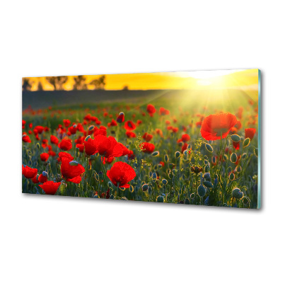 Panel dekor szkło Pole maków